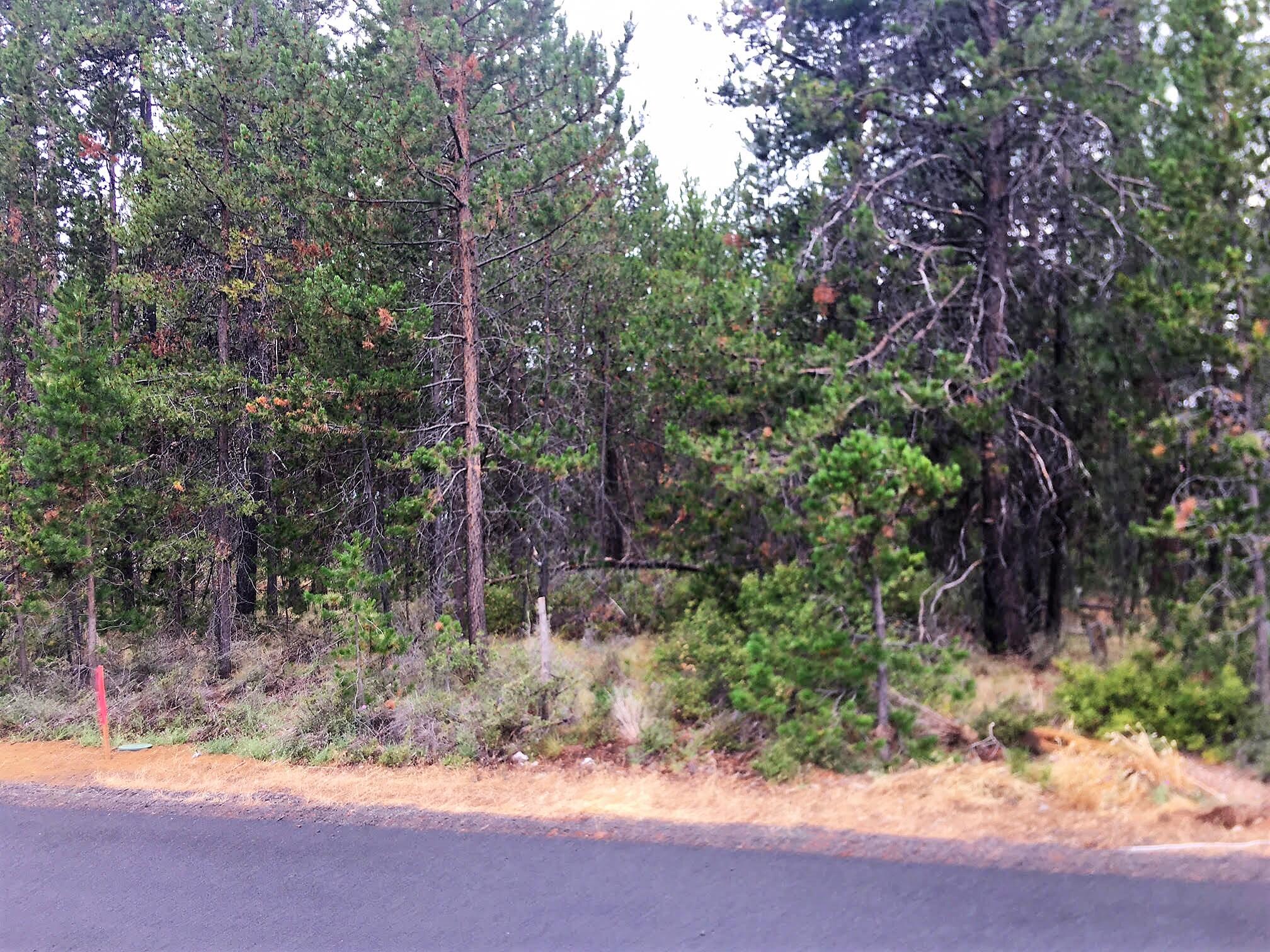 56279 Bufflehead Road Bend, OR 97707 - Photo 4 of 4 4