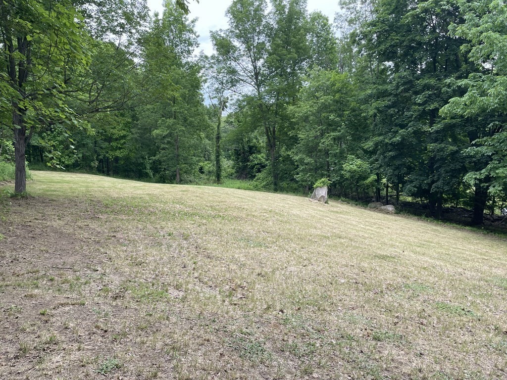a view of an empty yard with a trees