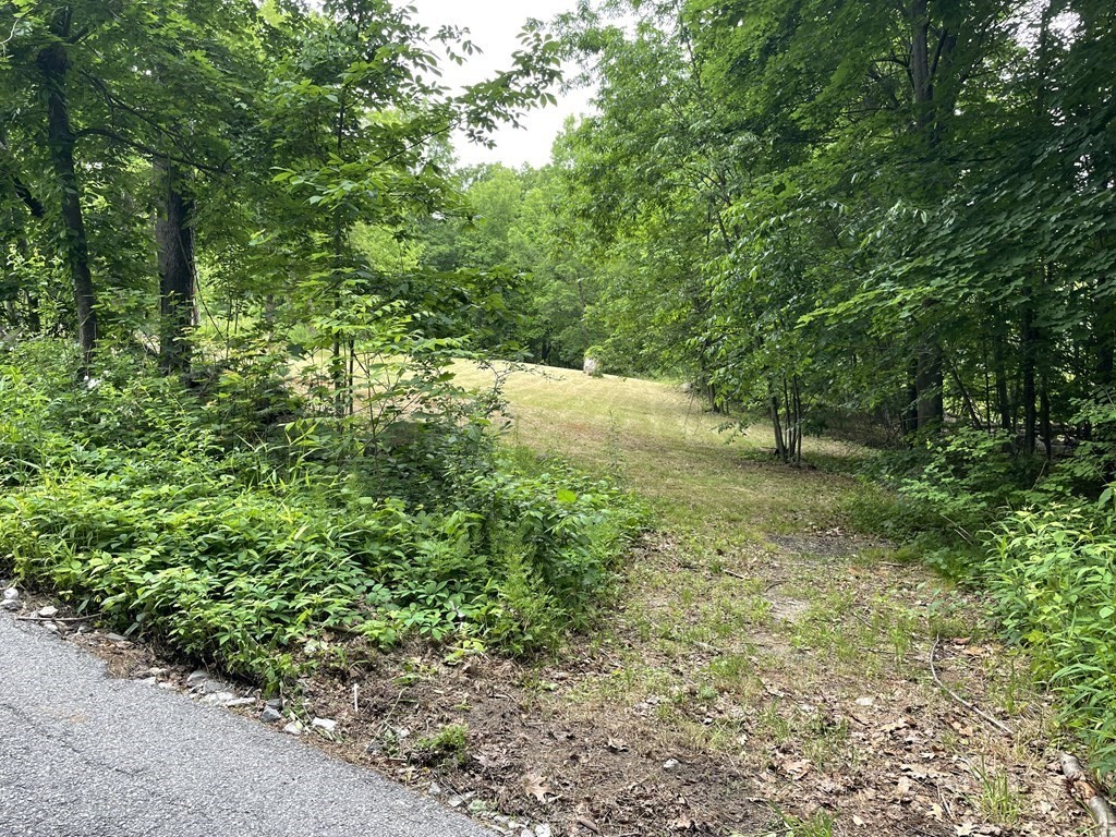 Lot 3 Fisher Road Fitchburg, MA 01420 - Photo 2 of 4 a view of a yard with plants and a tree