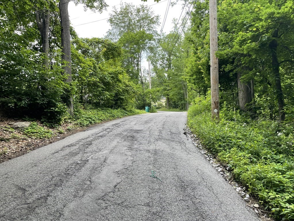 Lot 3 Fisher Road Fitchburg, MA 01420 - Photo 3 of 4 a view of a garden with plants