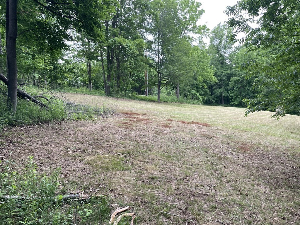 Lot 3 Fisher Road Fitchburg, MA 01420 - Photo 4 of 4 a view of a yard with a tree