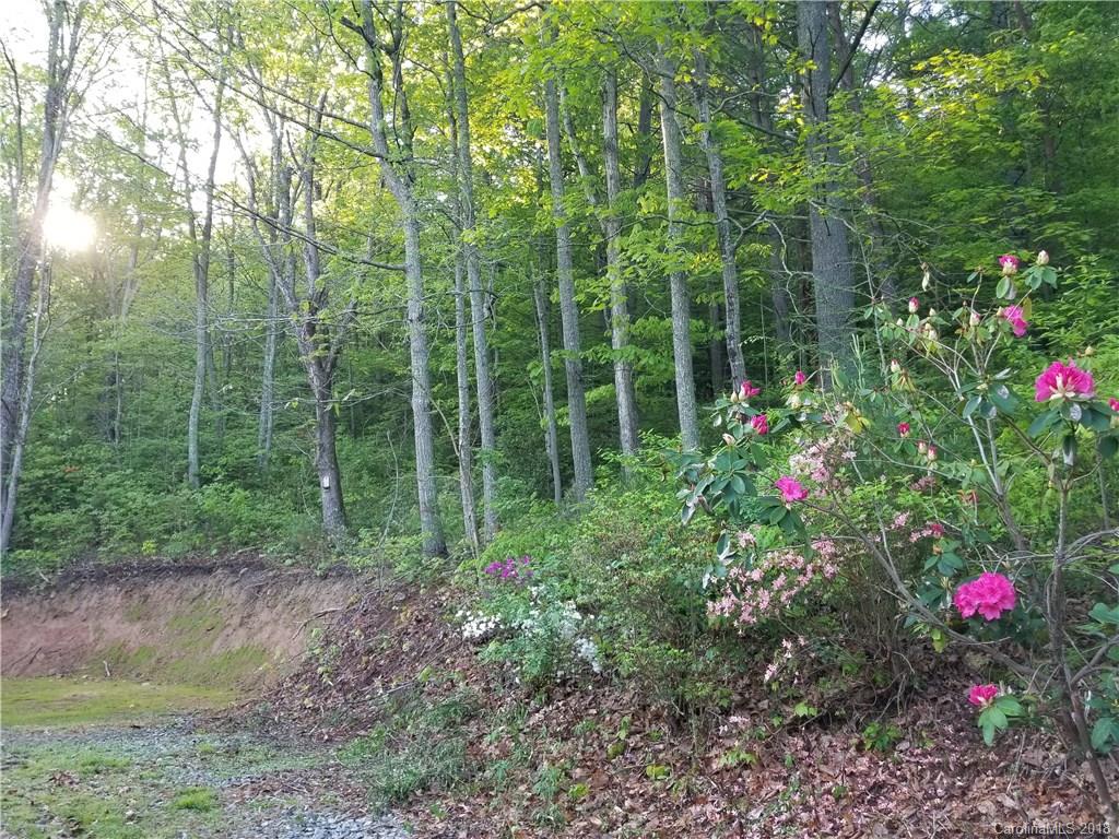 197 Jordan Road Swannanoa, NC 28778 - Photo 2 of 7 Gallery Image 2