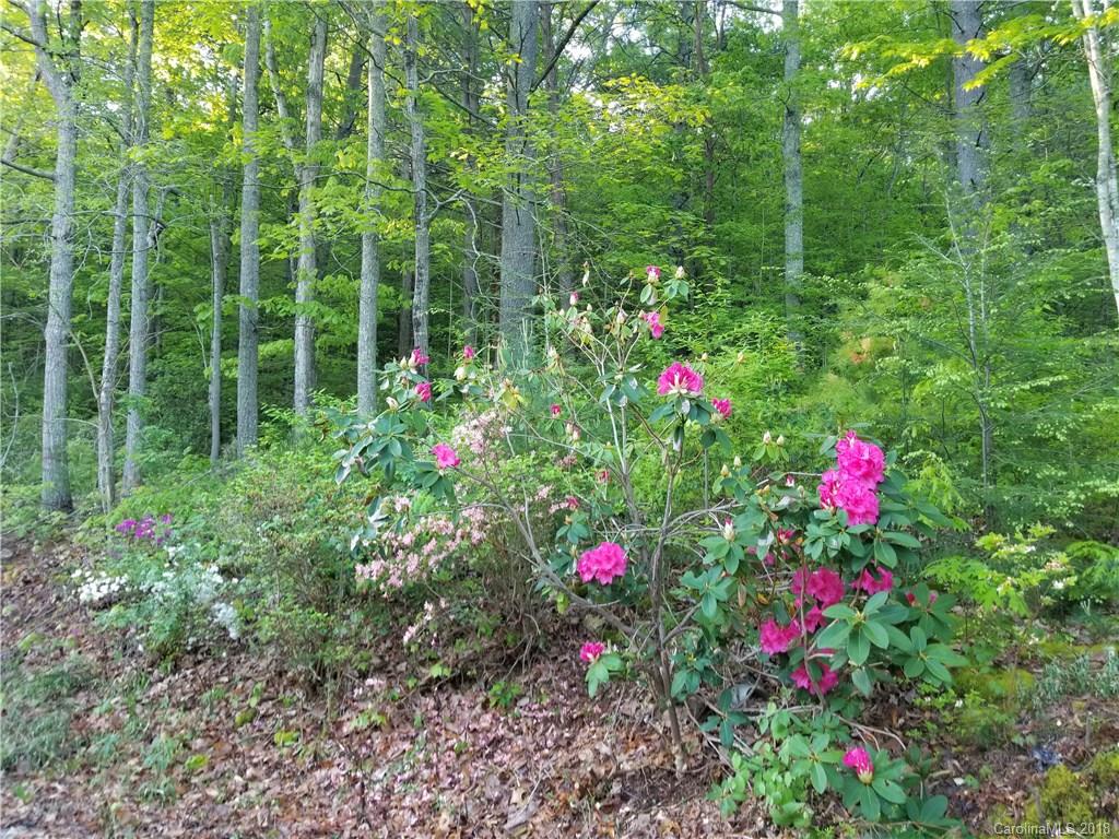 197 Jordan Road Swannanoa, NC 28778 - Photo 5 of 7 Gallery Image 5