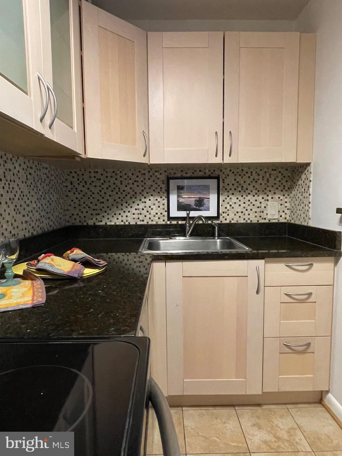 520 N Street Southwest, Unit S317 Washington, DC 20024 - Photo 14 of 64