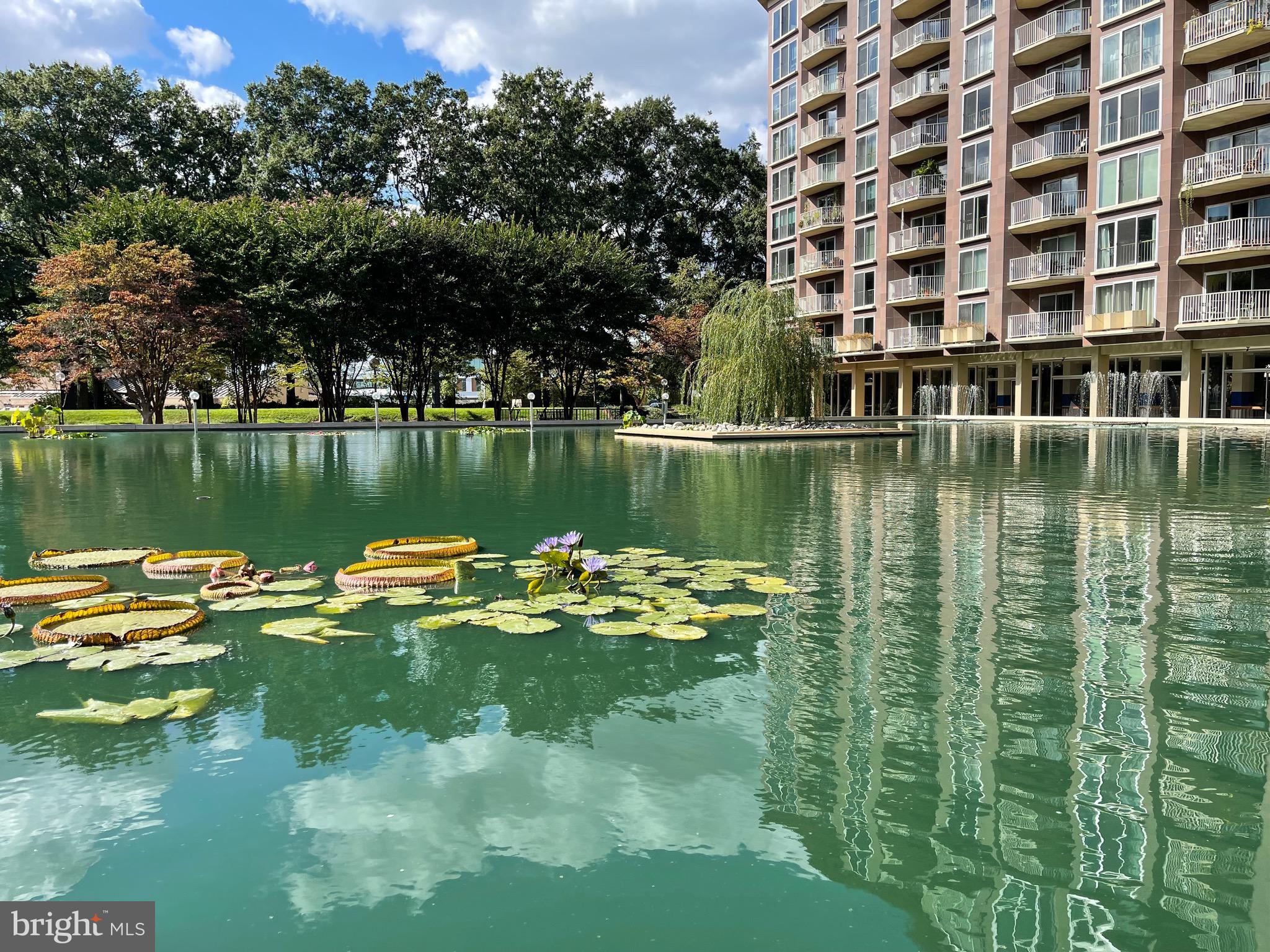 520 N Street Southwest, Unit S317 Washington, DC 20024 - Photo 44 of 64 a view of a lake with a building in the background