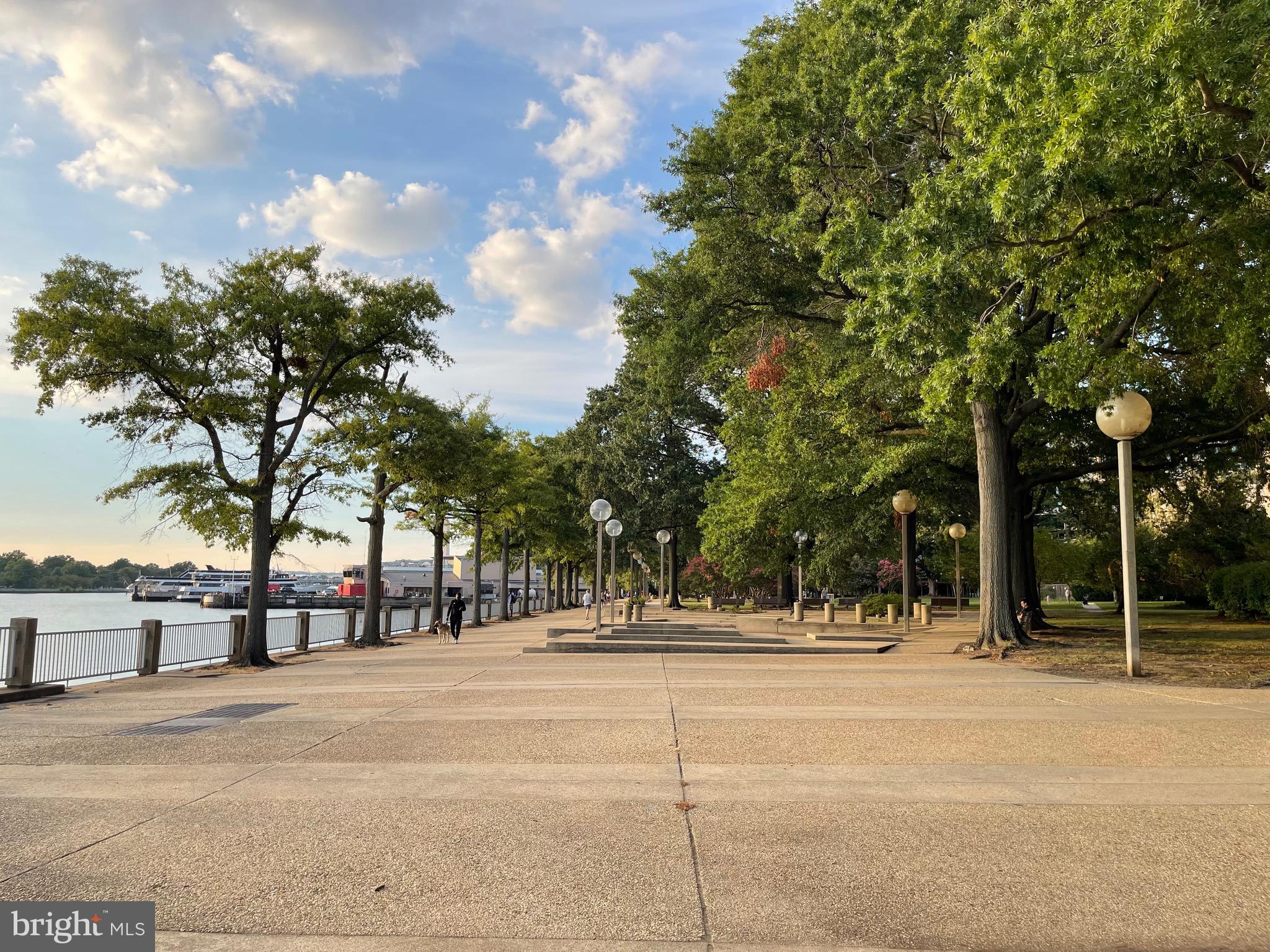 520 N Street Southwest, Unit S317 Washington, DC 20024 - Photo 62 of 64 a view of street with trees
