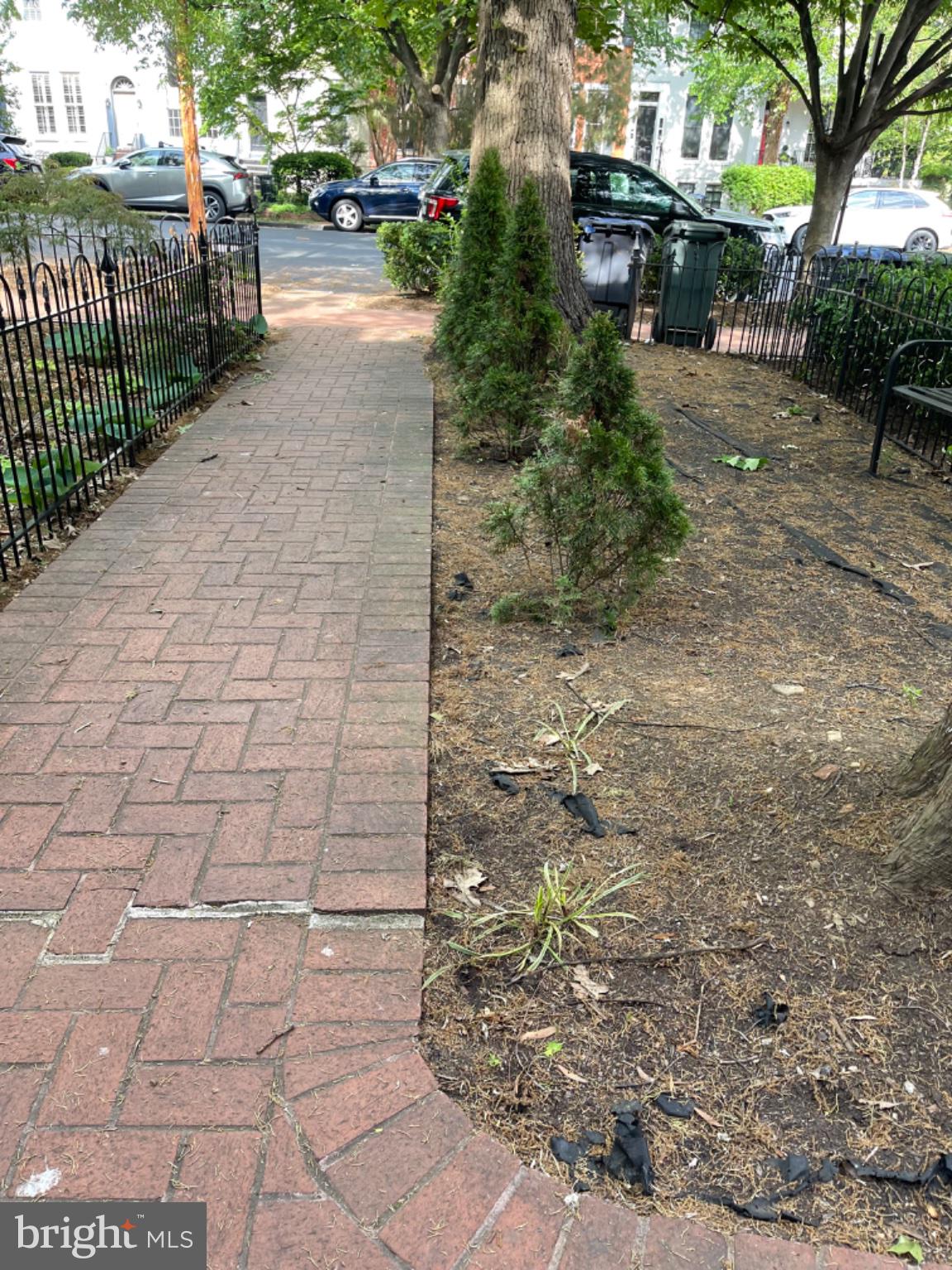 520 N Street Southwest, Unit S317 Washington, DC 20024 - Photo 68 of 74 Charming walkway through greenery.