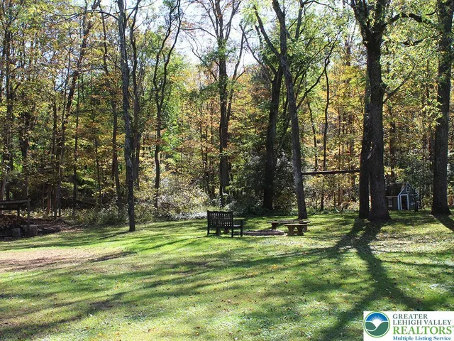 a view of a park with large trees