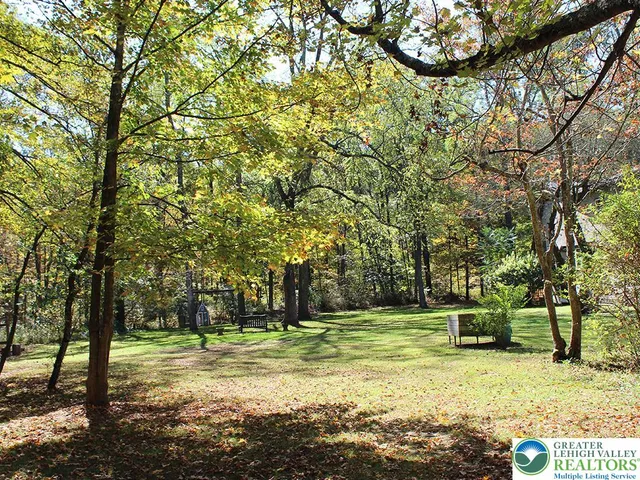 a view of a yard with a tree