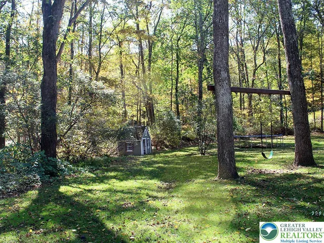 a view of a trees in a yard
