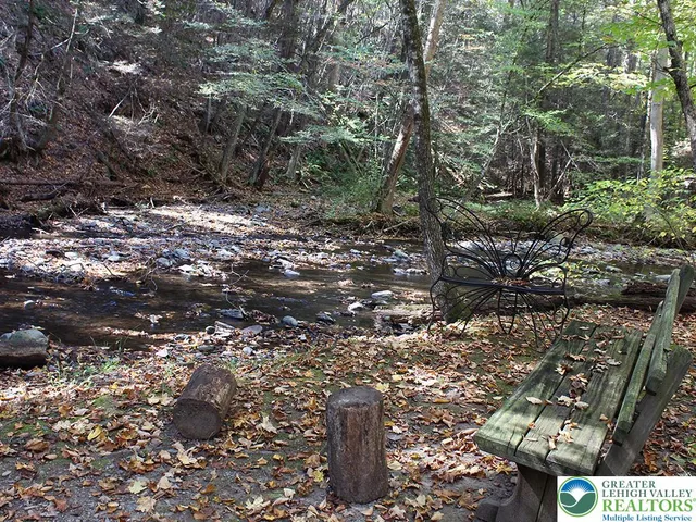 a view of a tree with a yard