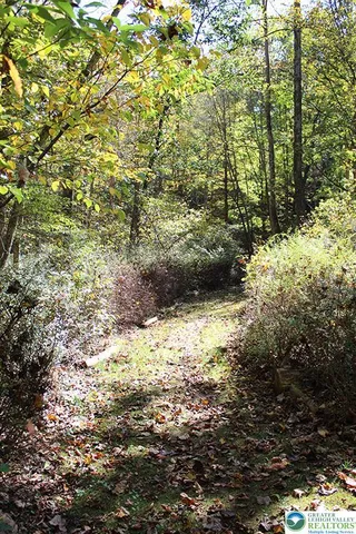 a view of lake view and covered with trees