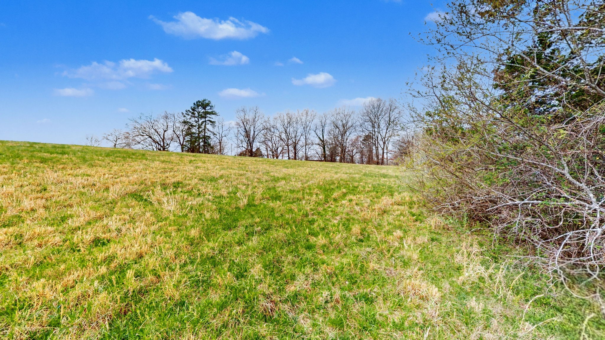 9 Louise Road Clarksville, TN 37040 - Photo 15 of 19 Gallery Image 15