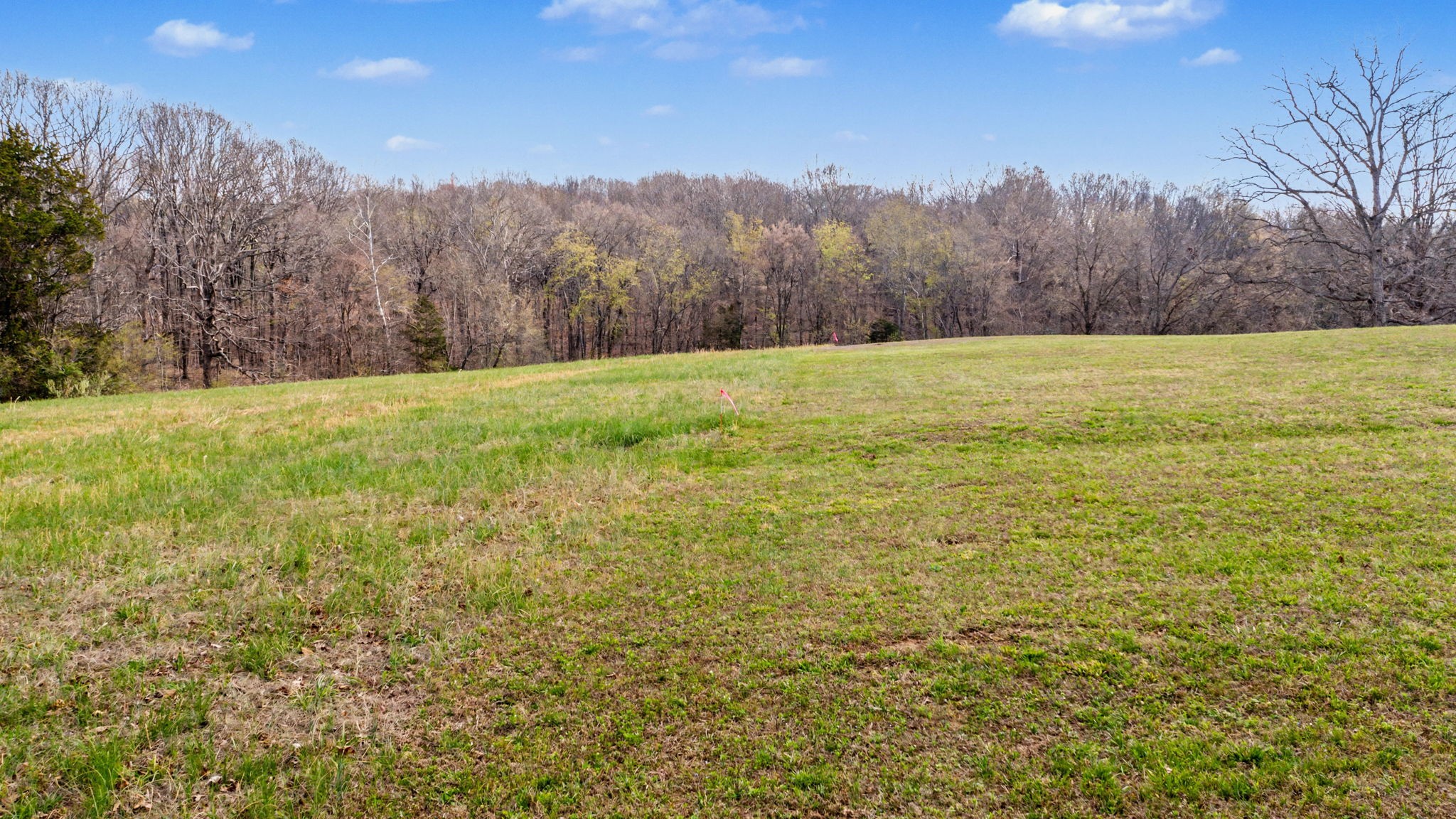 9 Louise Road Clarksville, TN 37040 - Photo 8 of 19 Gallery Image 8
