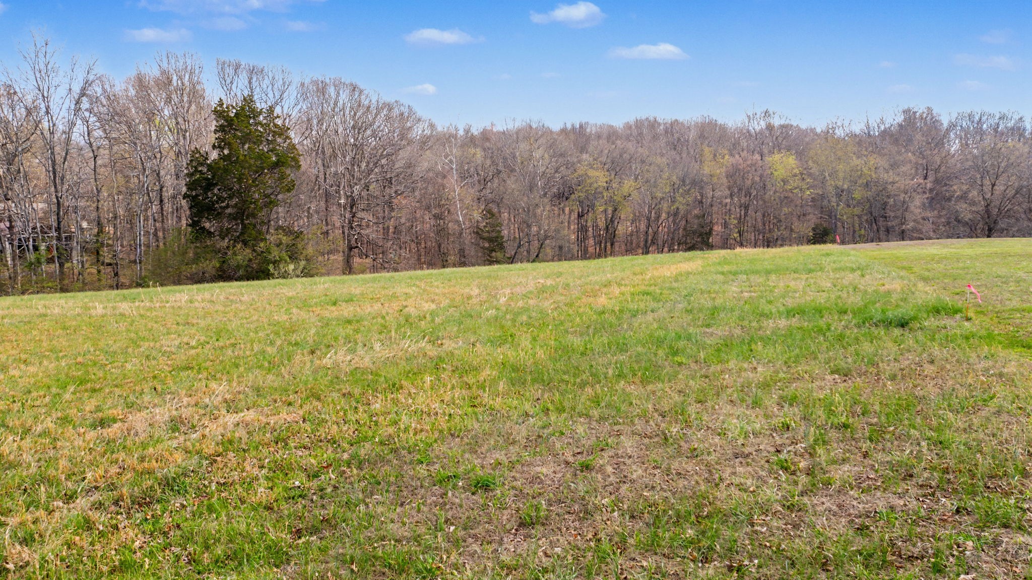 9 Louise Road Clarksville, TN 37040 - Photo 9 of 19 Gallery Image 9