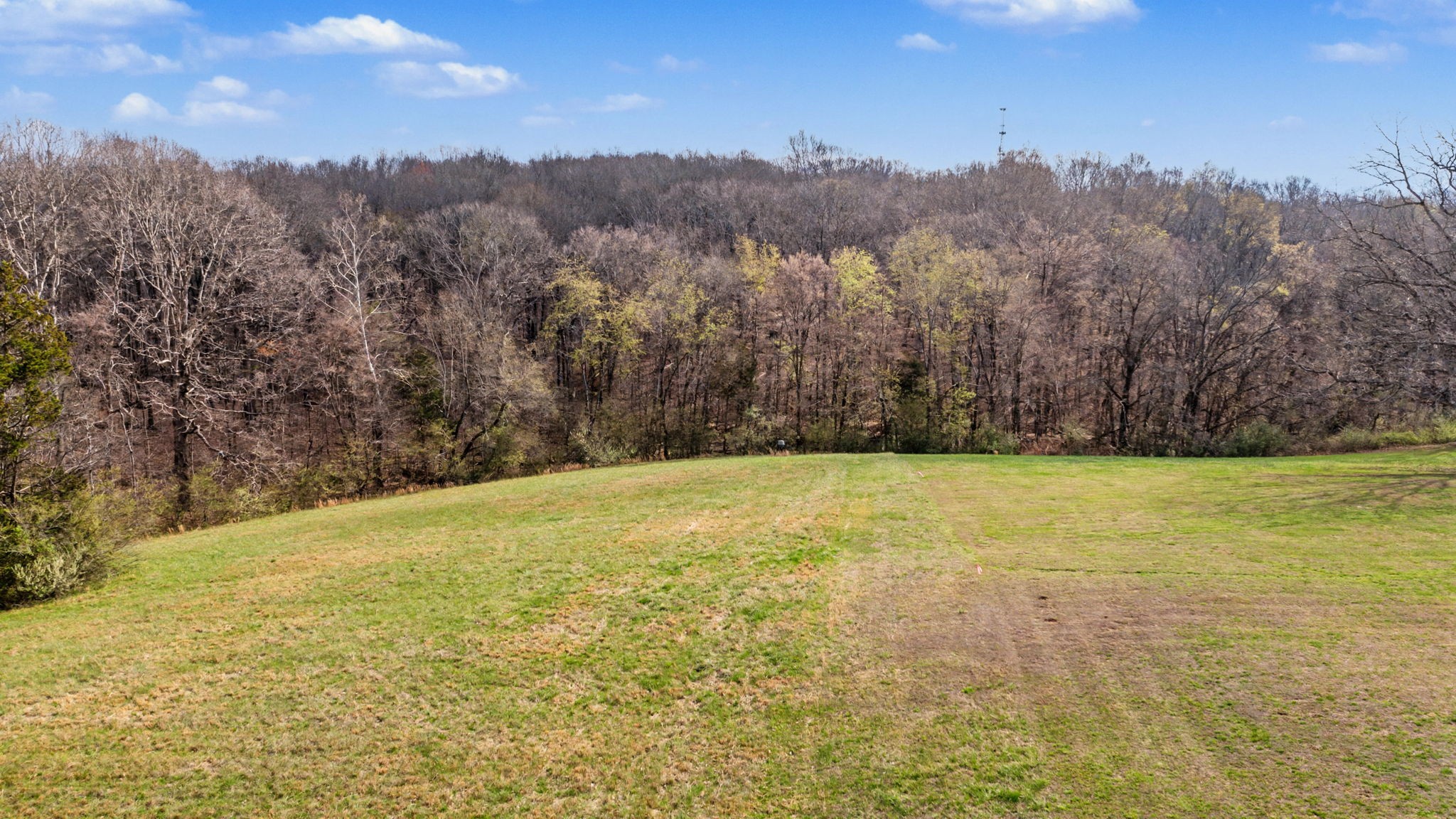 9 Louise Road Clarksville, TN 37040 - Photo 10 of 19 Gallery Image 10