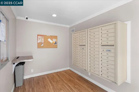 a view of a house with backyard and trees