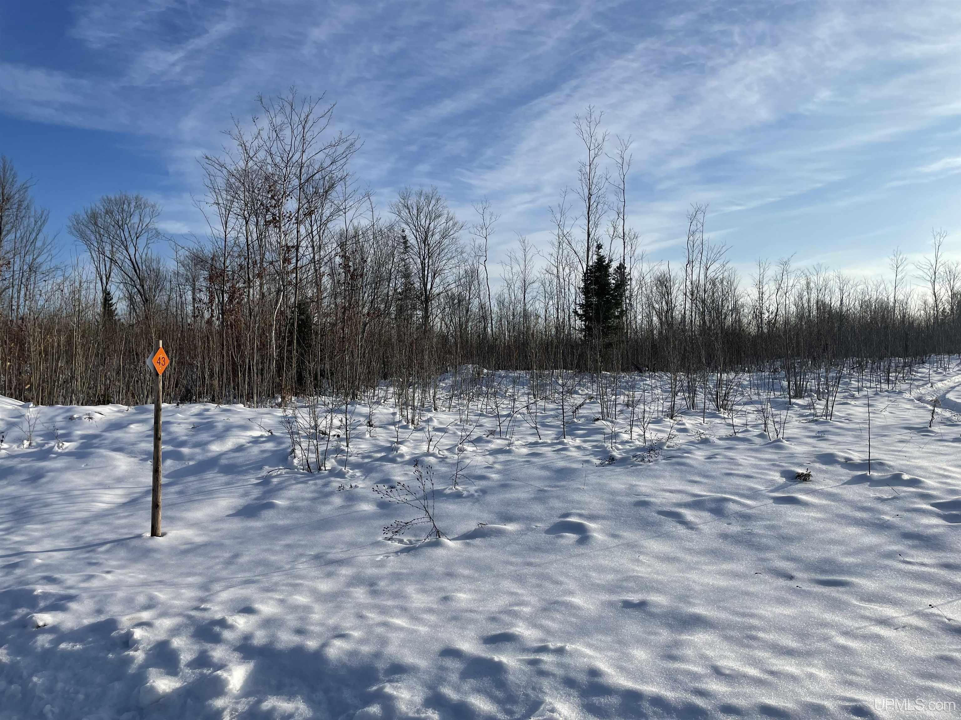 456 Rd Seney Mi 49883 Road Germfask, MI 49836 - Photo 8 of 8