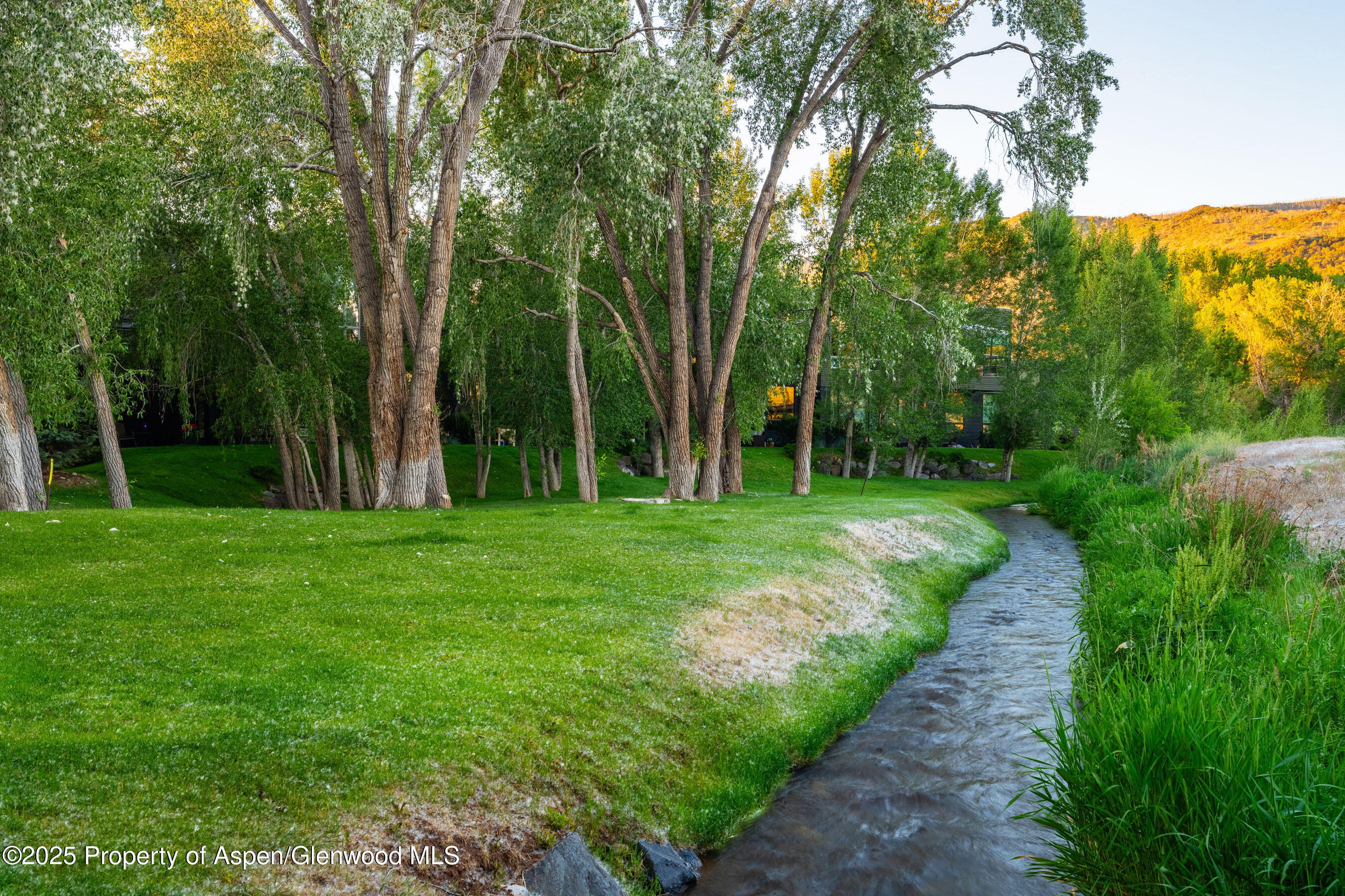 102 Evans Road, Unit 104 Basalt, CO 81621 - Photo 40 of 44 a view of a back yard