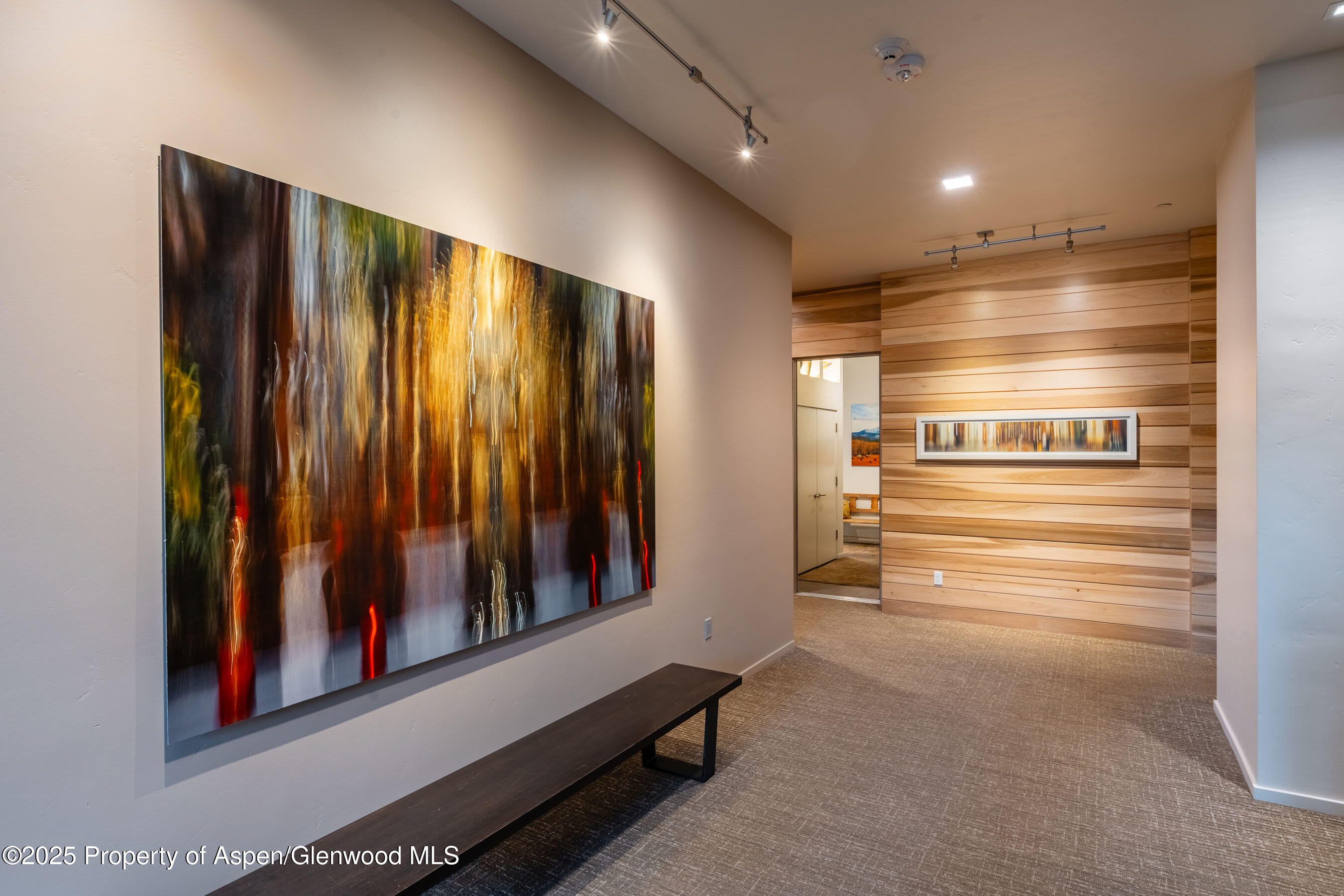 102 Evans Road, Unit 104 Basalt, CO 81621 - Photo 4 of 44 a view of a elevator