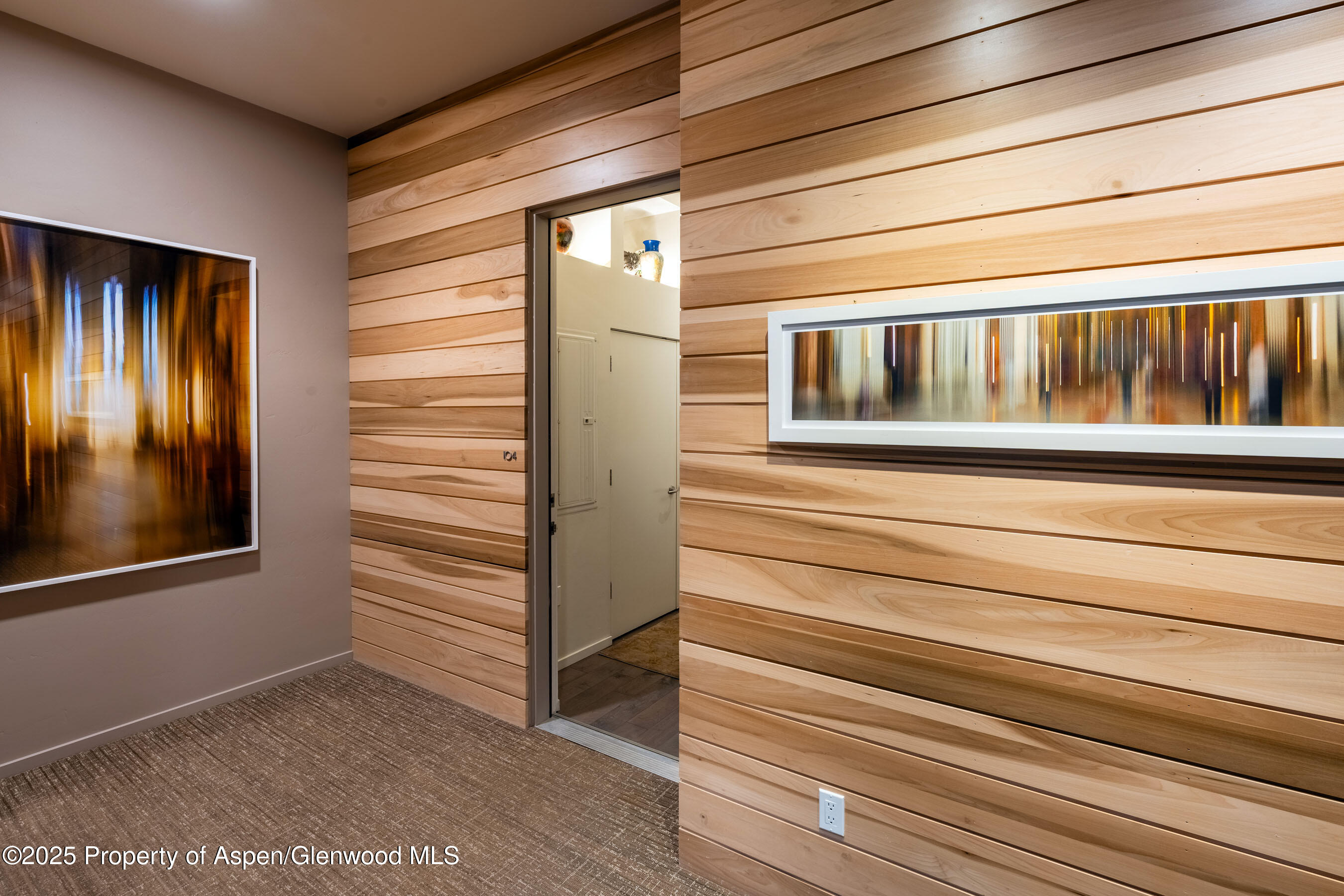 102 Evans Road, Unit 104 Basalt, CO 81621 - Photo 5 of 44 a view of front door