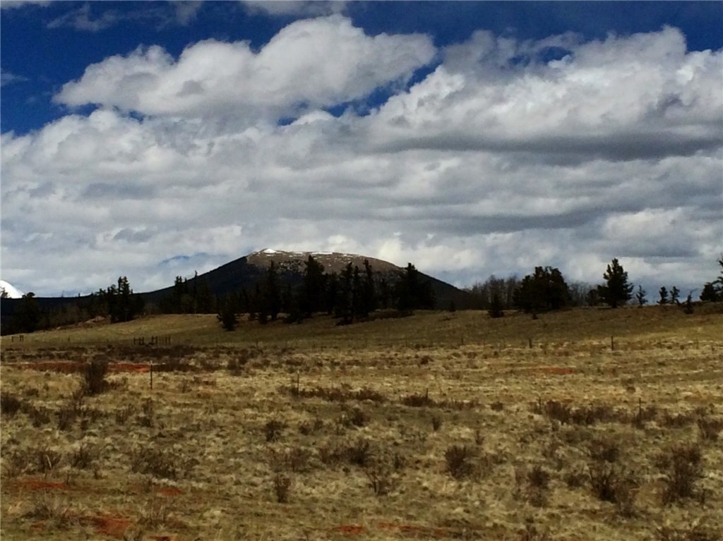 1252 Silver Heels Road Fairplay, CO 80440 - Photo 11 of 21 Gallery Image 11