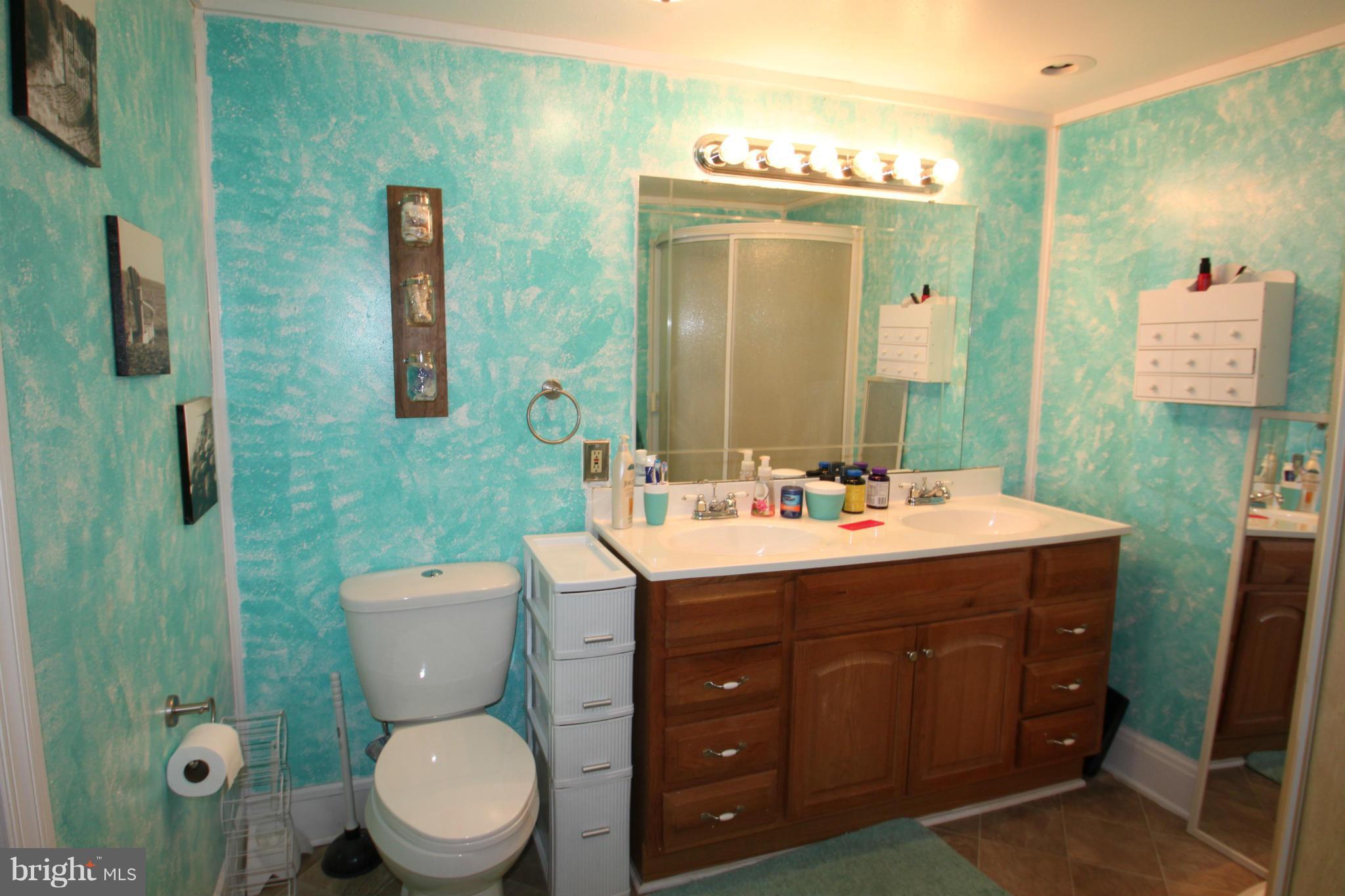 15158 Inlet Road Culpeper, VA 22701 - Photo 18 of 25 Bath (Master)