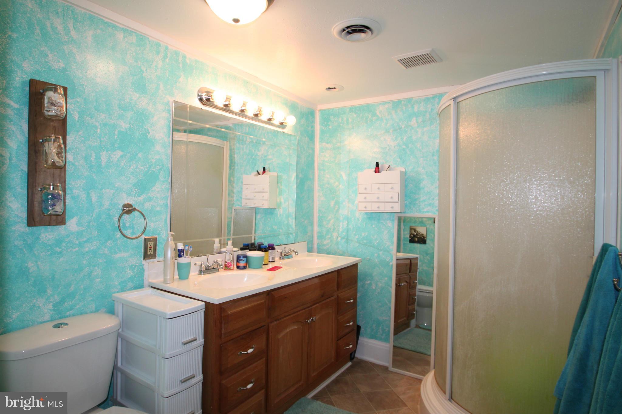 15158 Inlet Road Culpeper, VA 22701 - Photo 19 of 25 Bath (Master)