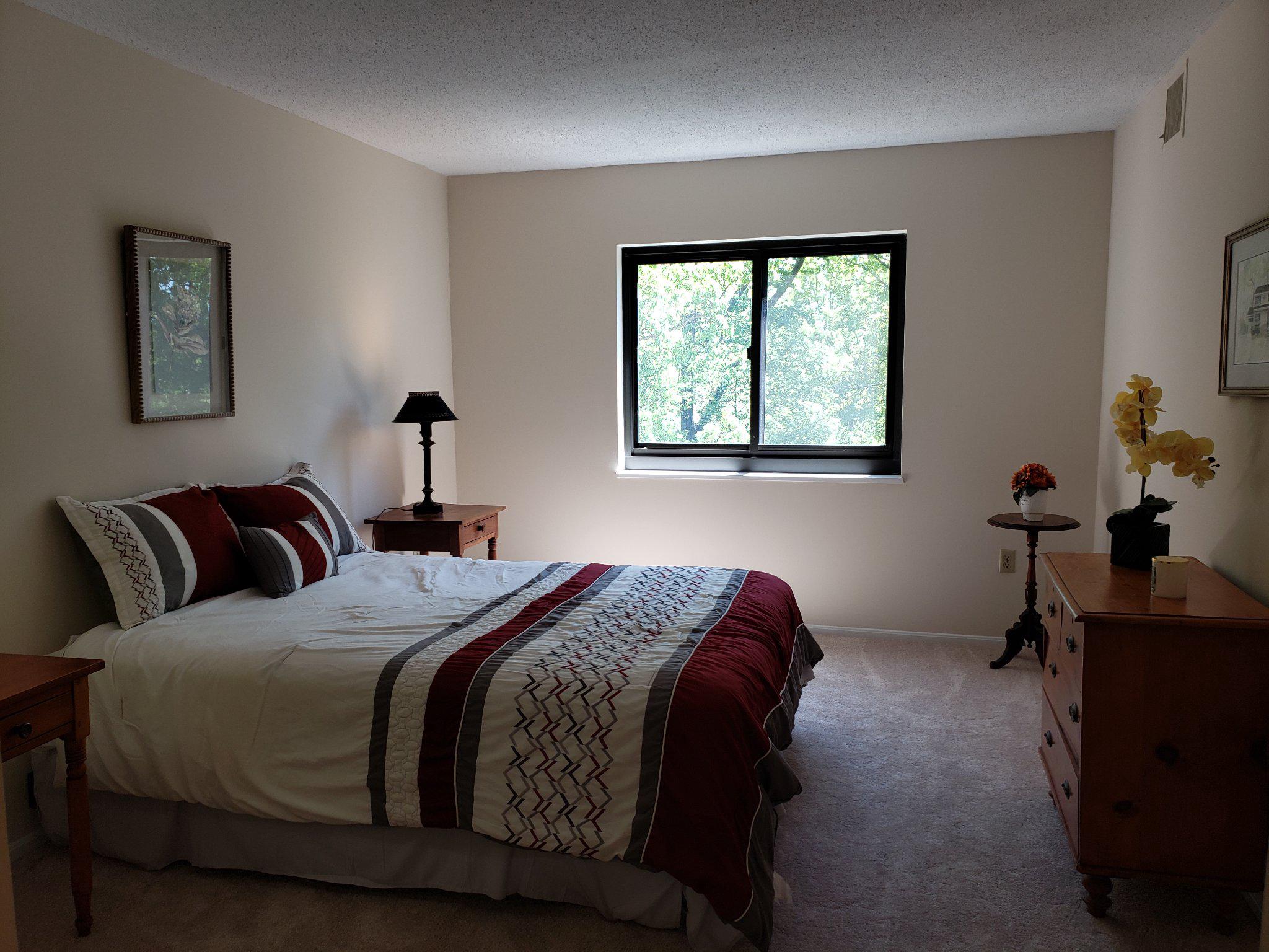 15100 Interlachen Drive, Unit 4520 Silver Spring, MD 20906 - Photo 19 of 39 Primary bedroom with natural light.