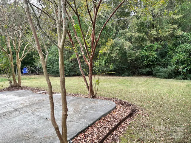 a view of a yard with a tree