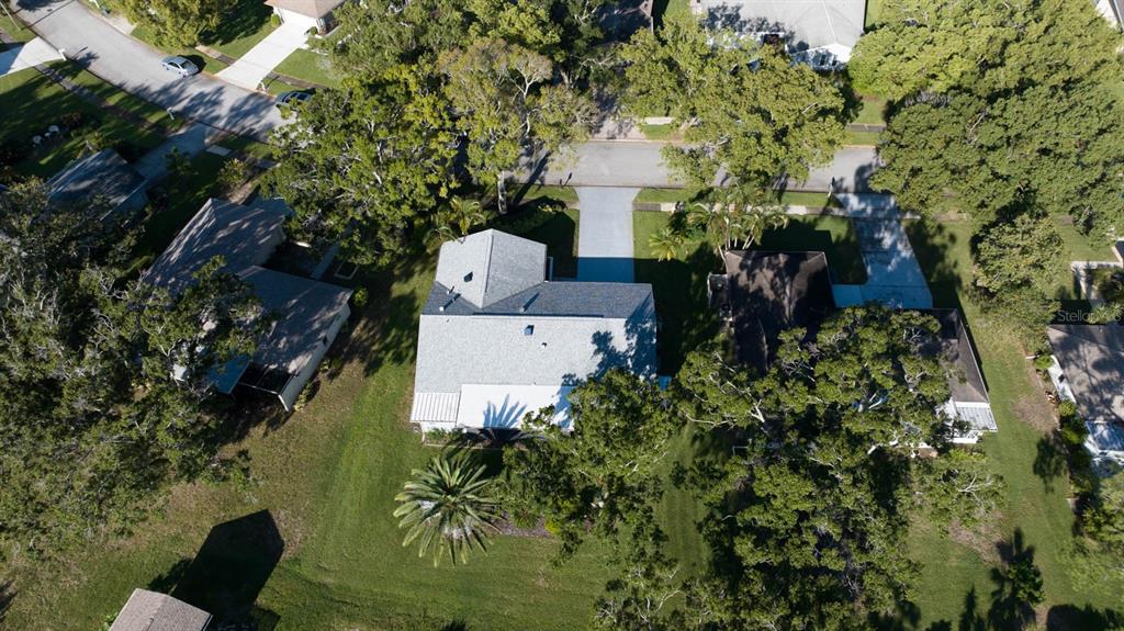3184 Brunswick Circle Palm Harbor, FL 34684 - Photo 43 of 57 a view of a house with a yard