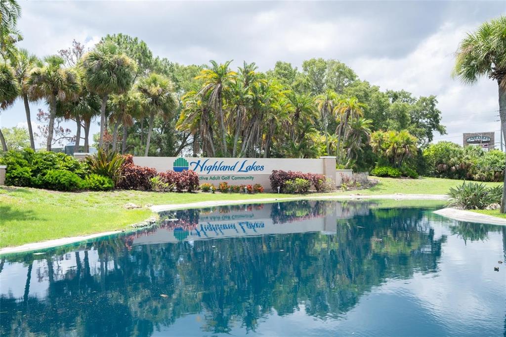 3184 Brunswick Circle Palm Harbor, FL 34684 - Photo 47 of 57 a view of swimming pool with a yard and plants