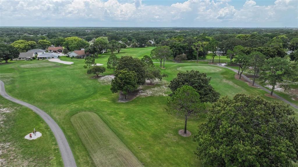 3184 Brunswick Circle Palm Harbor, FL 34684 - Photo 53 of 57 an aerial view of huge green field with lots of green space