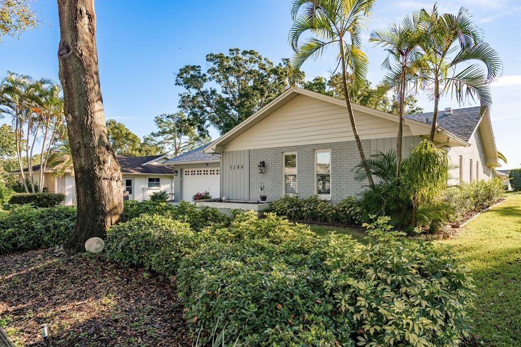 3184 Brunswick Circle Palm Harbor, FL 34684 - Photo 8 of 57 a view of a house with a yard and potted plants
