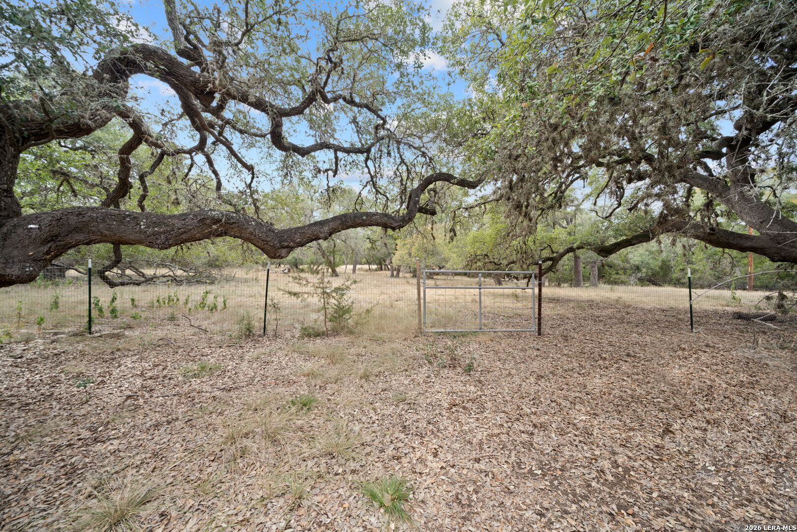 222 Cascade Caverns Road Boerne, TX 78015 - Photo 38 of 40 Gallery Image 38