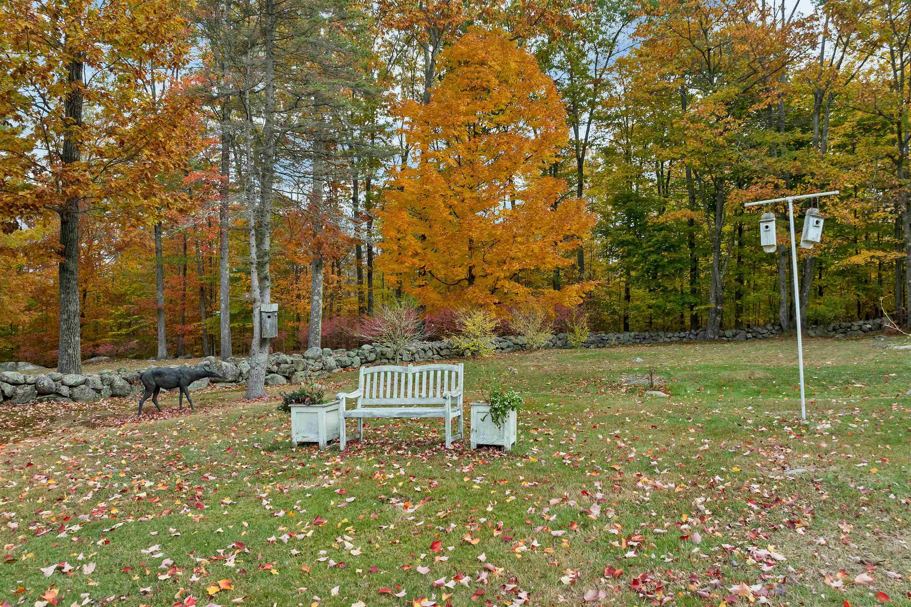 645 North Main Street Wolfeboro, NH 03894 - Photo 54 of 56