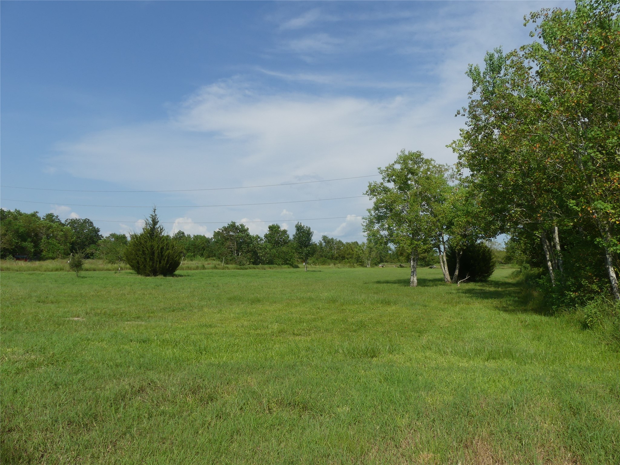 20119 East Paloma Loop Rosharon, TX 77583 - Photo 3 of 5 a view of a field of grass and trees
