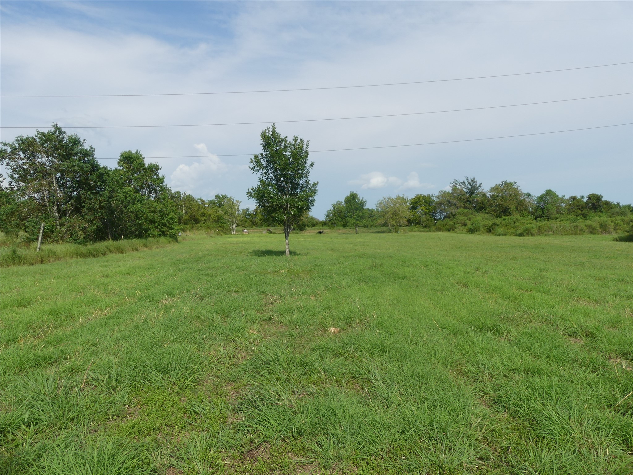 20119 East Paloma Loop Rosharon, TX 77583 - Photo 5 of 5 a backyard of a house with lots of green space