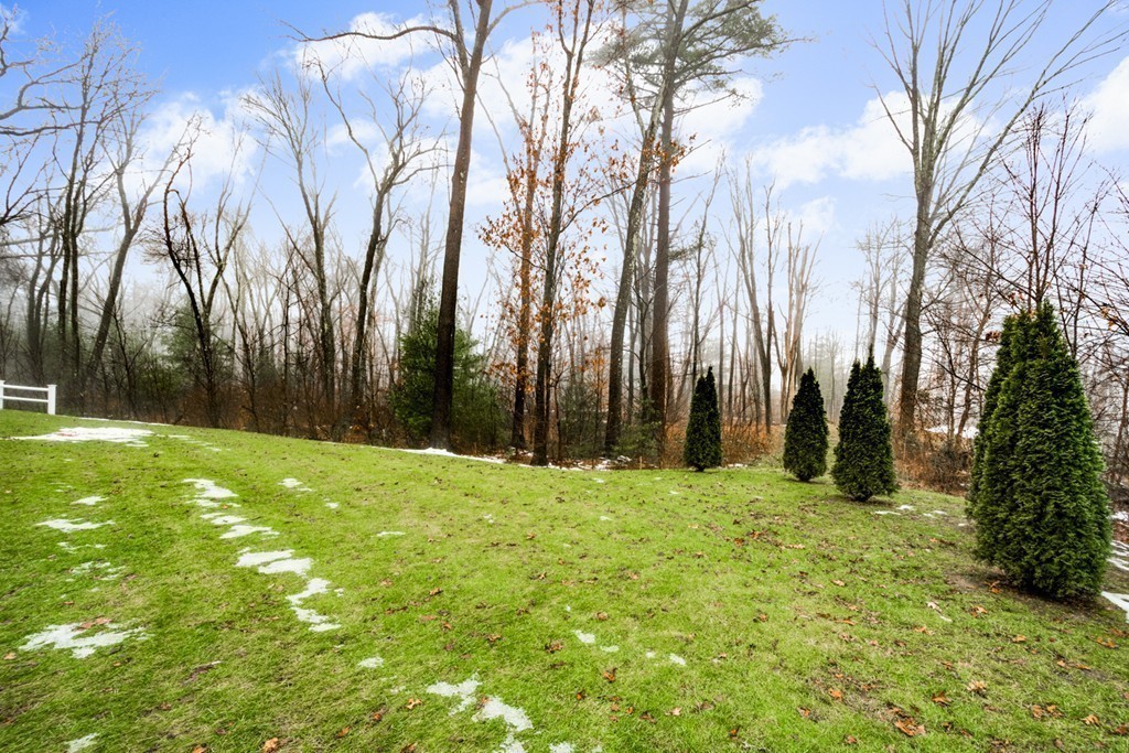 143 Broad Street, Unit 20 Hudson, MA 01749 - Photo 29 of 30 a yard with lots of green space