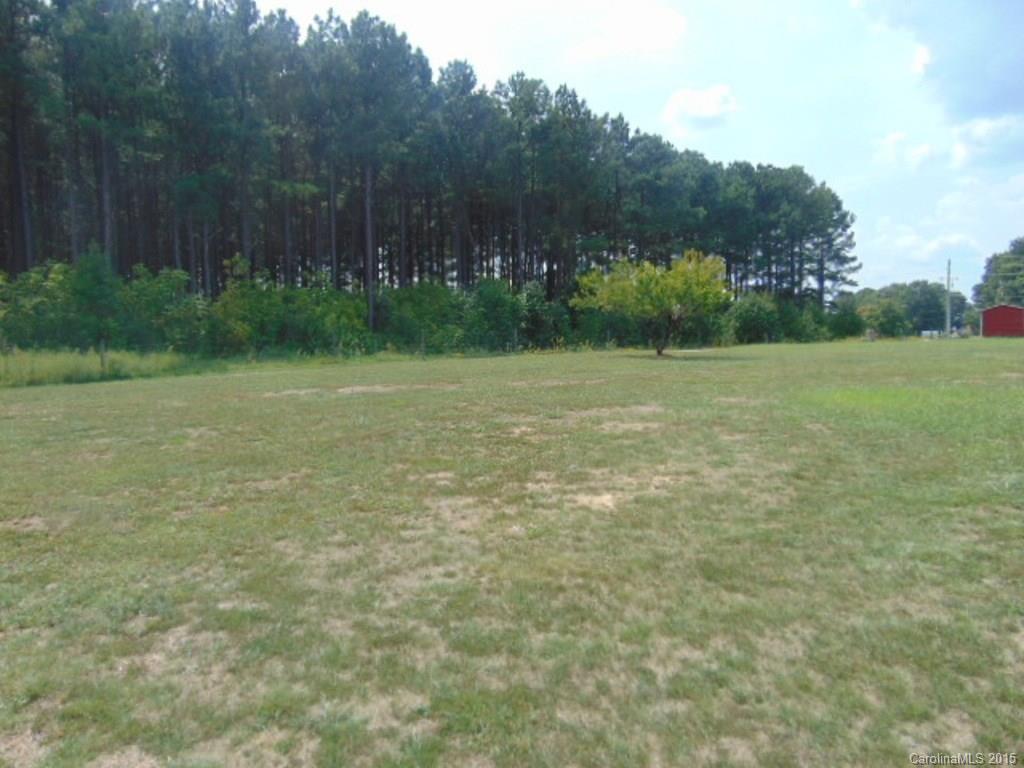312 Hephzibah Church Road Crouse, NC 28033 - Photo 9 of 24 Gallery Image 9