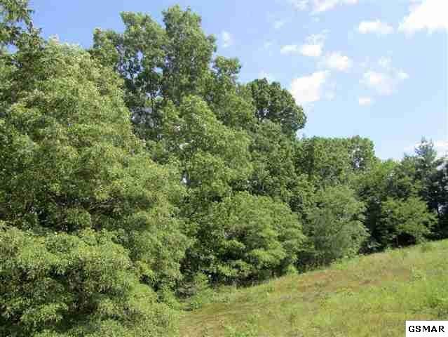 2 Harrison Ferry Road Baneberry, TN 37890 - Photo 13 of 15 Gallery Image 13