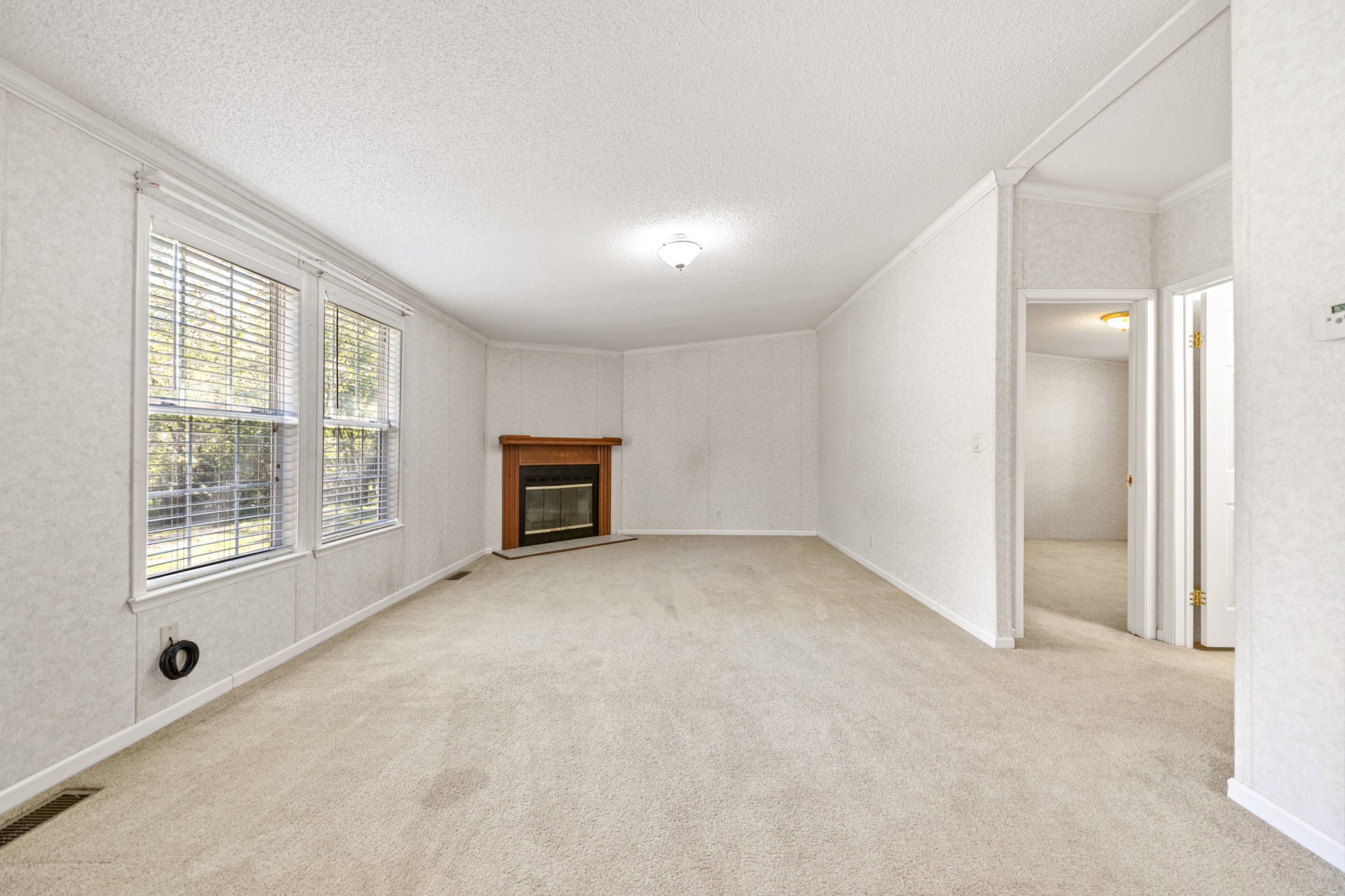 5085 Flat Creek Road Spring Hill, TN 37174 - Photo 16 of 17 an empty room with fireplace and windows