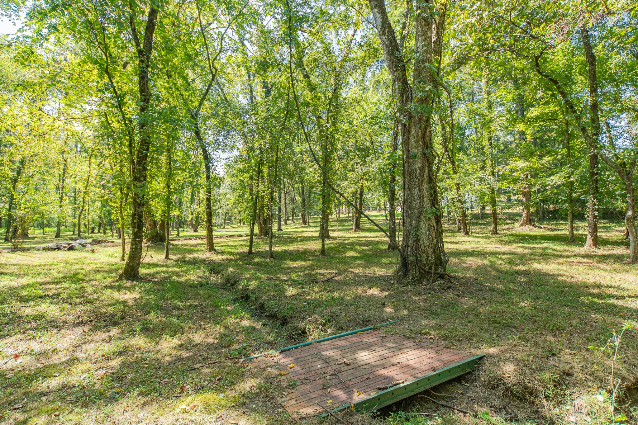 5085 Flat Creek Road Spring Hill, TN 37174 - Photo 3 of 17 a view of a backyard with trees