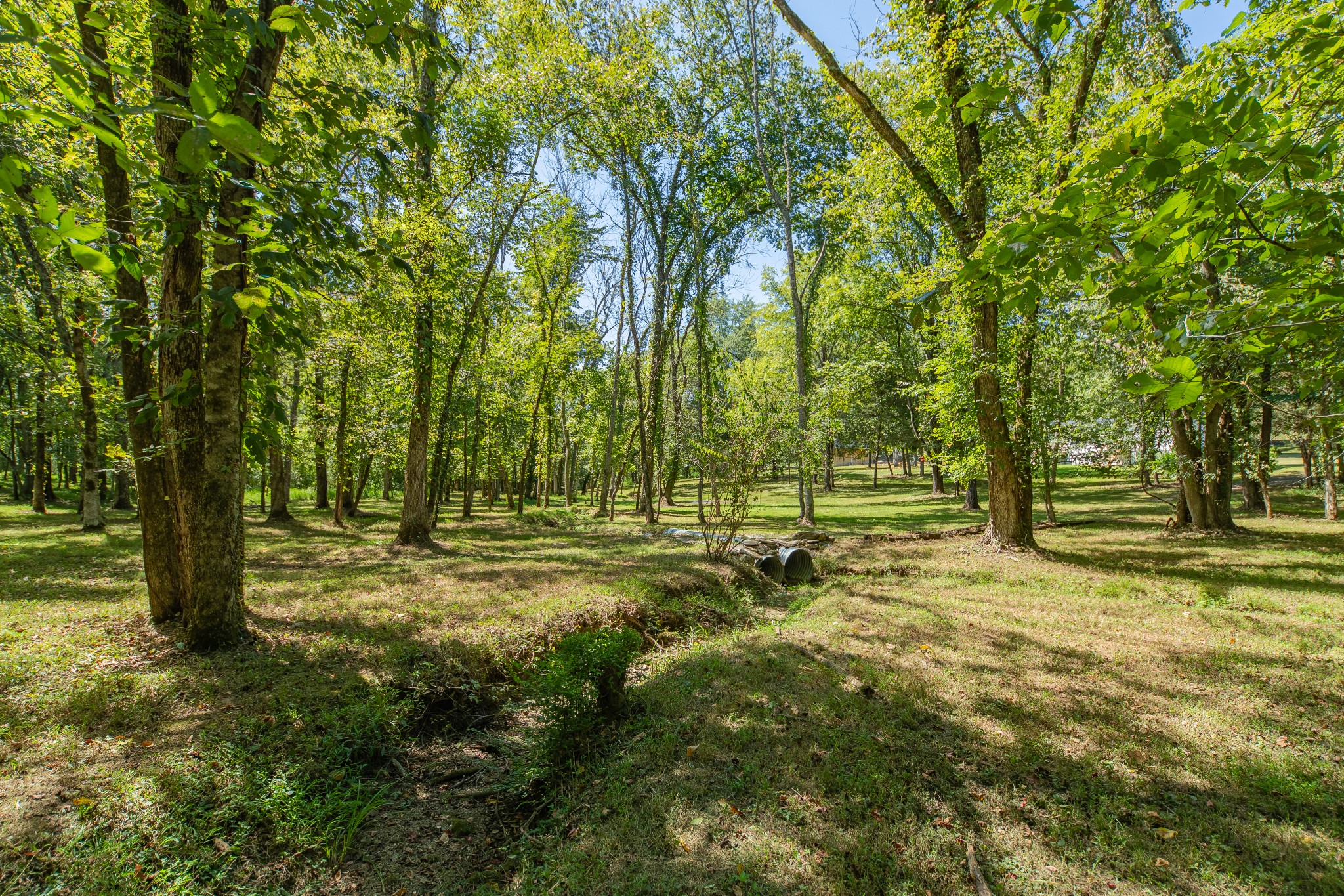 5085 Flat Creek Road Spring Hill, TN 37174 - Photo 4 of 17 a view of a trees with a yard
