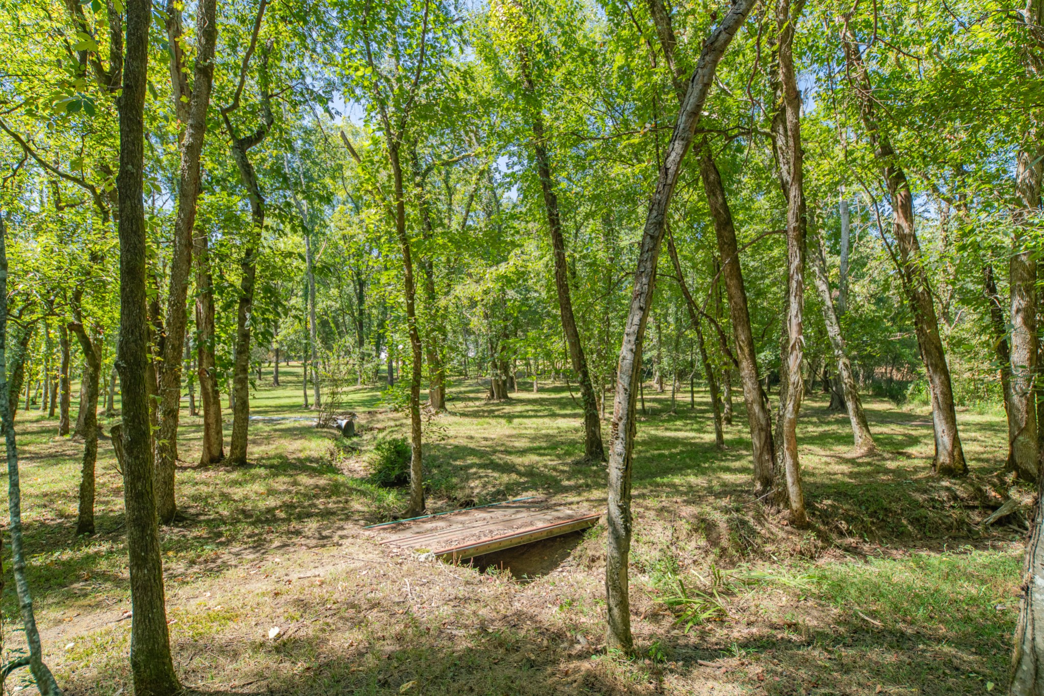 5085 Flat Creek Road Spring Hill, TN 37174 - Photo 5 of 17 a view of a yard with large trees