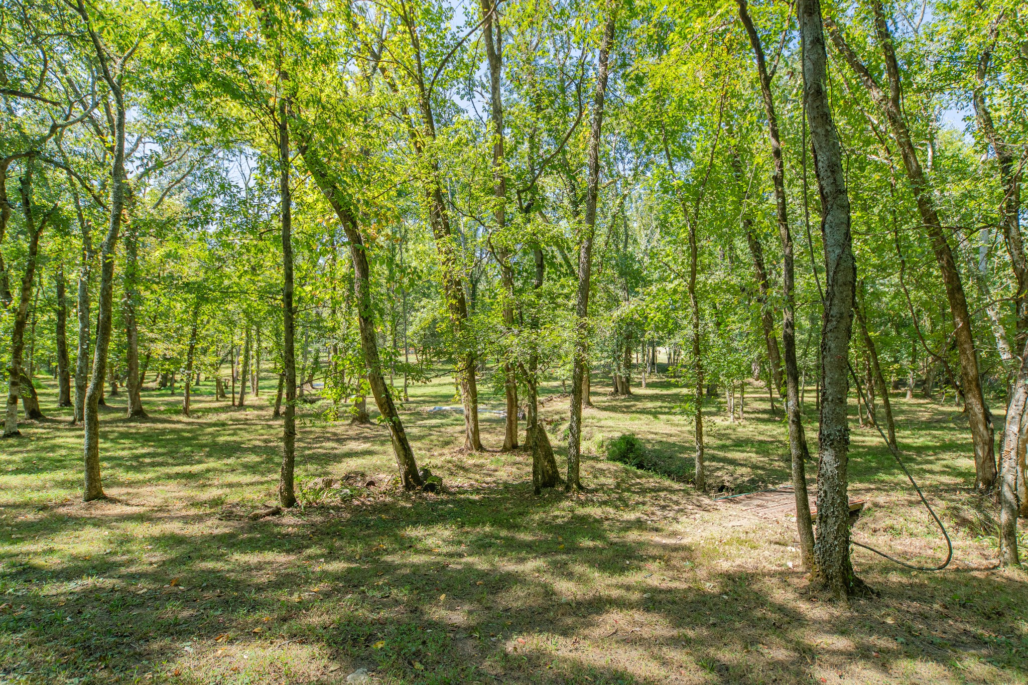 5085 Flat Creek Road Spring Hill, TN 37174 - Photo 6 of 17 a view of yard