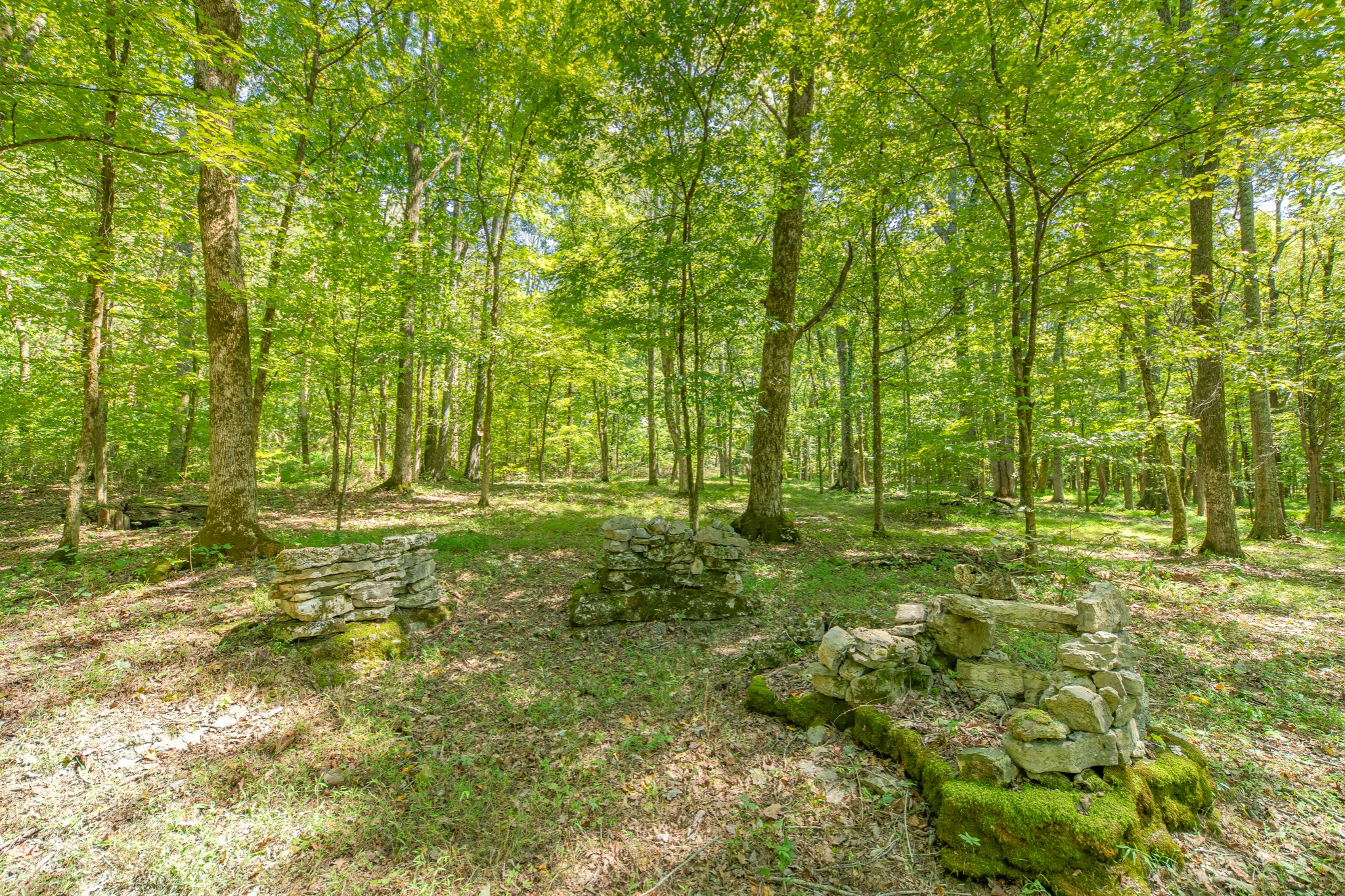 5085 Flat Creek Road Spring Hill, TN 37174 - Photo 8 of 17 a view of yard with green space