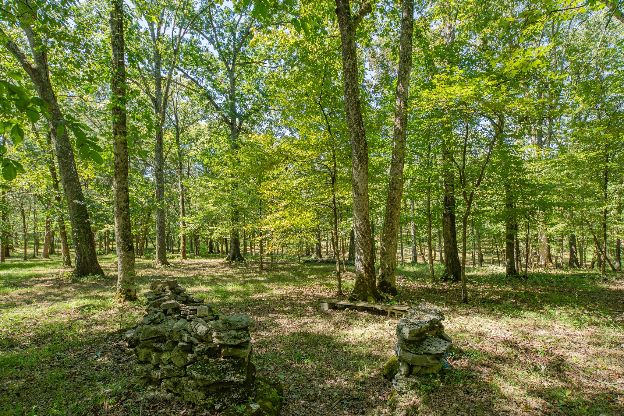 5085 Flat Creek Road Spring Hill, TN 37174 - Photo 9 of 17 a backyard of a house with lots of green space