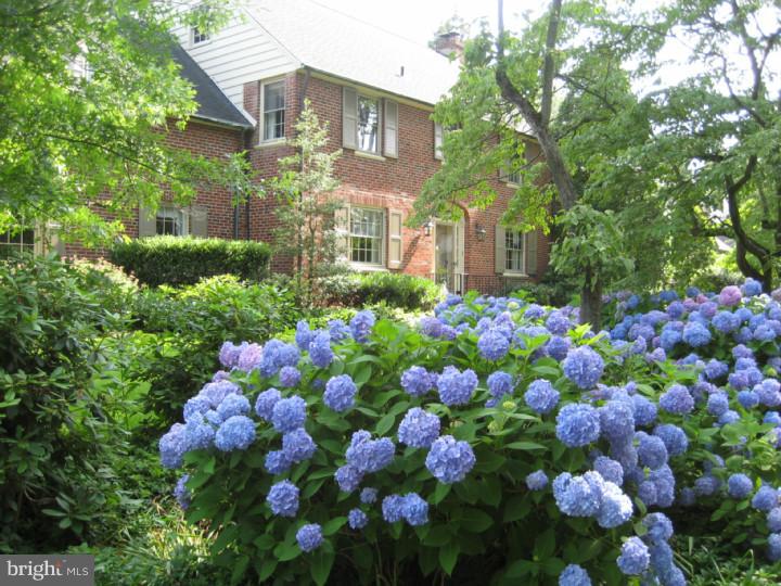 110 Glenwood Road Haddonfield, NJ 08033 - Photo 17 of 17 a view of a flower in a yard