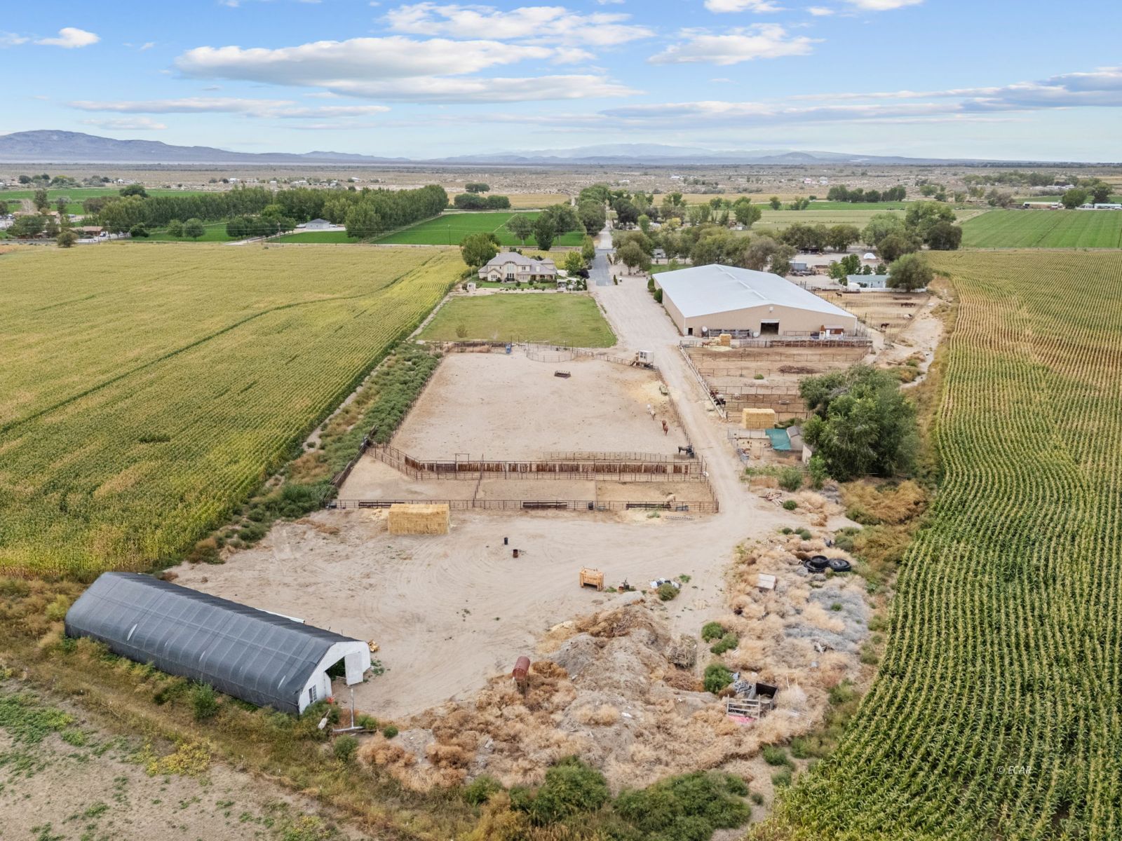 1001 Sheckler Cut Off Fallon, NV 89406 - Photo 4 of 49